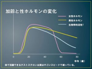 加齢と性ホルモンの変化